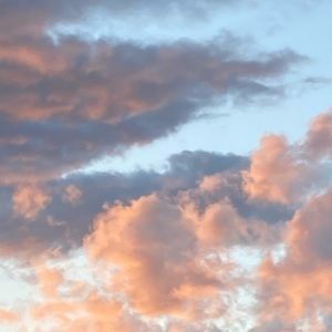 Meet your Posher, Ginger